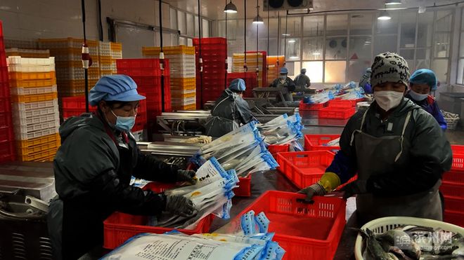 濱州60余家漁業企業全力備戰春節水產品市場供應